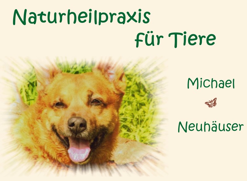 Willkommen